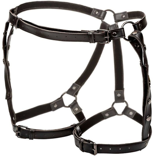 WOMAN BODY HARNESS