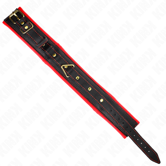 KINKY LEASH - COLLAR WITH LEASH 